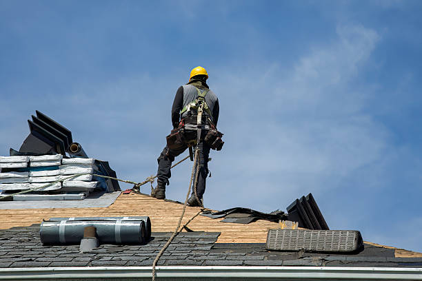 Professional Flat Roof Repair technician working in Parmele, NC